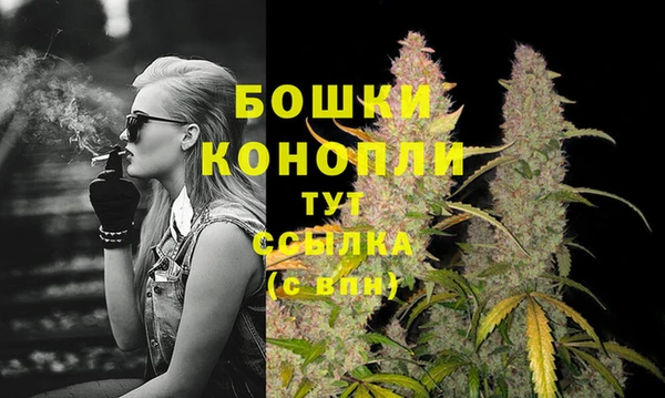 ECSTASY Покровск