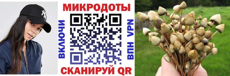 Галлюциногенные грибы GOLDEN TEACHER  Купить закладки  Жигулёвск 
